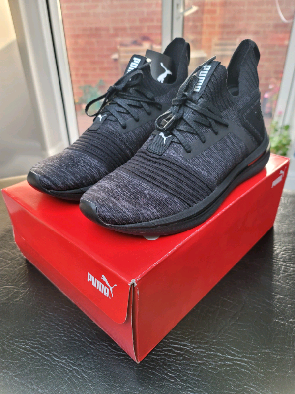 ignite limitless sr evoknit